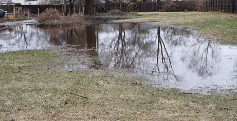 April Showers Bring May Flowers – and Standing Water!