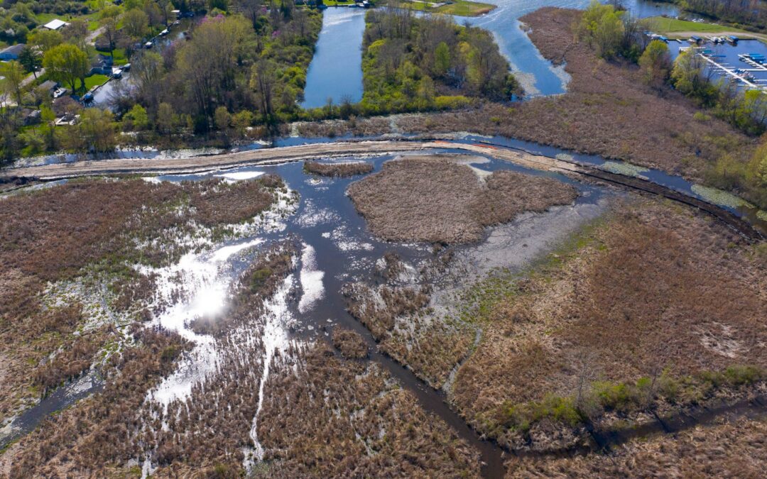 Kline Levee Valuable Asset in the Watershed