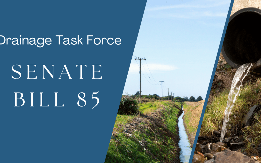 Senate Bill 85 – Drainage Task Force