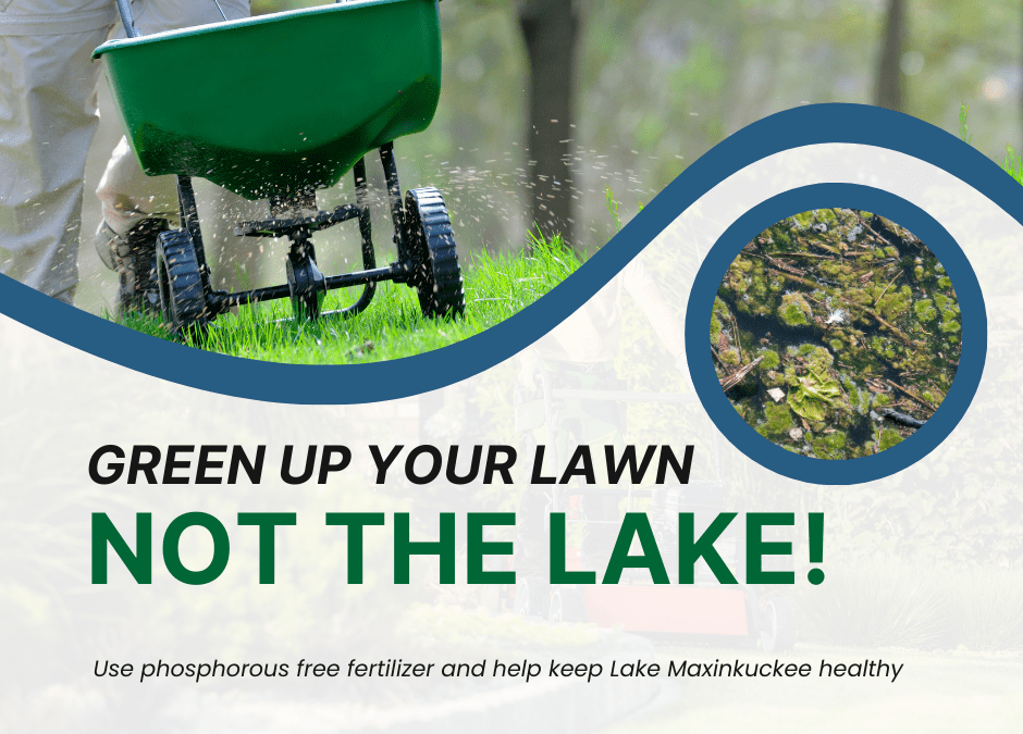 Green Up Your Lawn – Not the Lake!